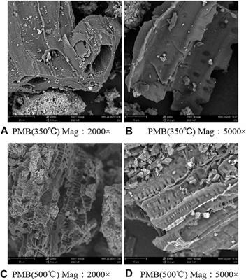 Effects of Biochar Application on Enzyme Activities in Tea Garden Soil